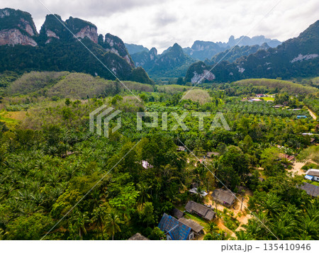 Aerial drone view of Khao Sok national park, Thailand. Jungle, palms and tropical forest. Mountains in background. Aerial drone view of Khao Sok national park, Thailand. Jungle, palms and tropical forest. Mountains in background. 135410946