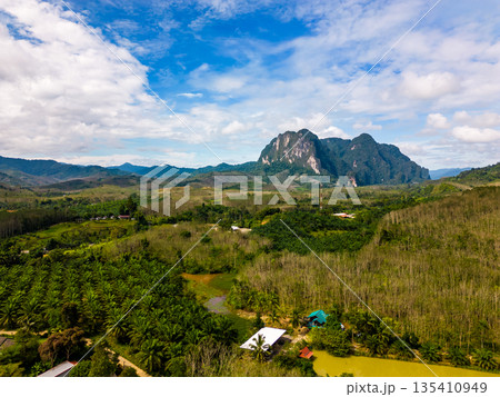 Aerial drone view of Khao Sok national park, Thailand. Jungle, palms and tropical forest. Mountains in background. 135410949