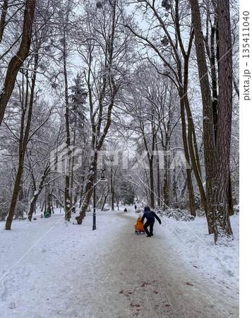 Snowy Park Path with Vintage Lamp Post 135411040