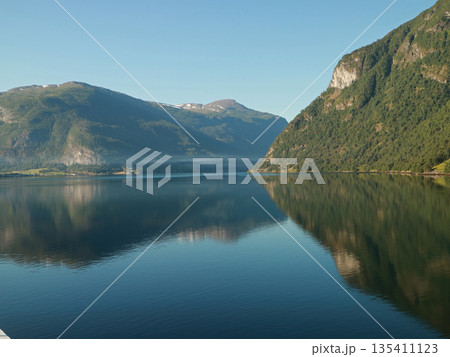 船で行くノルウェーのネーロイフィヨルド遊覧 135411123