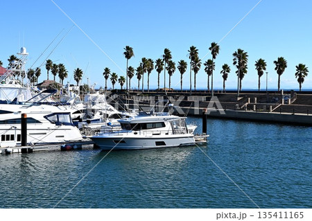 ヤシの木とマリーナ河芸 135411165