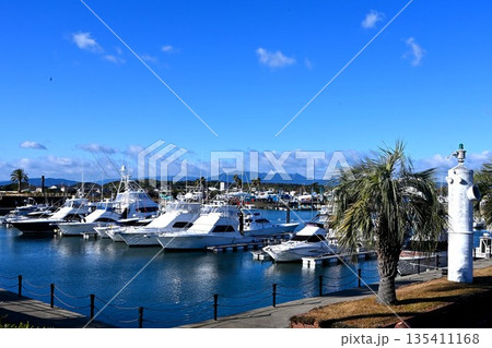 プレジャーボートが係留されたマリーナの風景 135411168