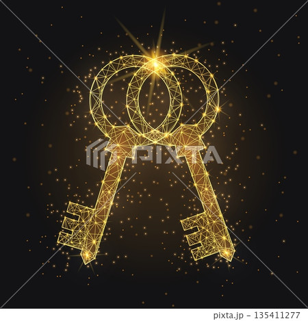 Golden Keys Success - Digital Deal Wireframe Secure Partnership Icon Golden Keys Success - Digital Deal Wireframe Secure Partnership Icon 135411277