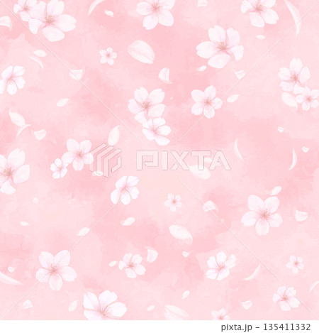 手描きの桜の水彩風背景_正方形 135411332