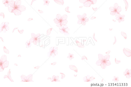 手描きの桜の水彩風背景_背景透過_横 135411333