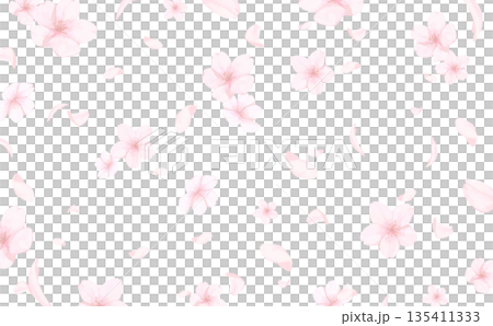 手描きの桜の水彩風背景_背景透過_横 135411333