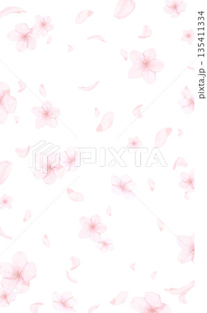 手描きの桜の水彩風背景_背景透過_縦 135411334