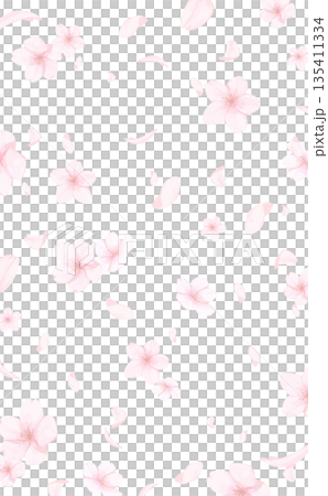 手描きの桜の水彩風背景_背景透過_縦 135411334