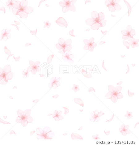 手描きの桜の水彩風背景_背景透過_正方形 手描きの桜の水彩風背景_背景透過_正方形 135411335
