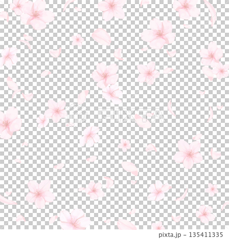手描きの桜の水彩風背景_背景透過_正方形 手描きの桜の水彩風背景_背景透過_正方形 135411335