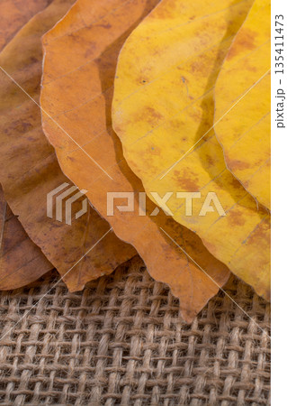dry Autumn time leaves in view 135411473