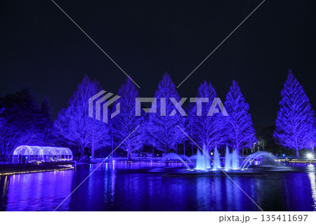 七北田公園イルミネーション＆キャンドルナイト 135411697