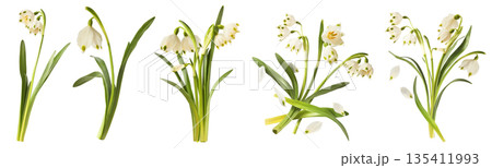 Beautiful Snowdrop flower falling in the air isolated Beautiful Snowdrop flower falling in the air isolated 135411993