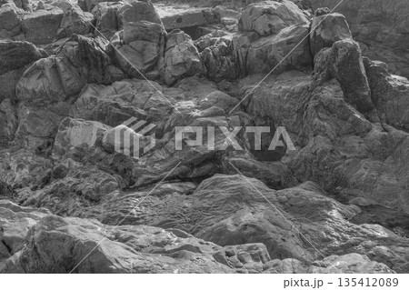 Black and white close-up of rugged coastal rocks, highlighting textures, erosion patterns, and 135412089