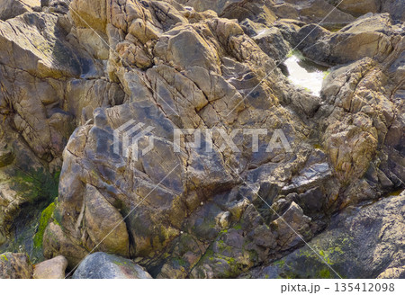 Close-up of rugged coastal rocks with visible cracks, moss, and algae, showcasing detailed textures 135412098