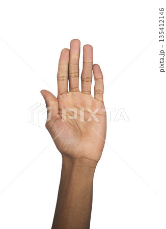 Hand palm raised with fingers together in greeting sign, hello gesture and communication symbol. 135412146
