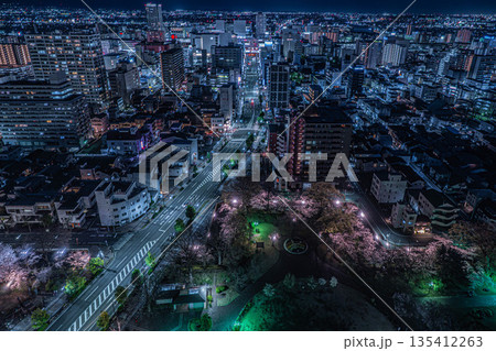高崎城址公園の夜桜と高崎市街地の夜景【群馬県高崎市・高崎市役所展望ロビー】 高崎城址公園の夜桜と高崎市街地の夜景【群馬県高崎市・高崎市役所展望ロビー】 135412263