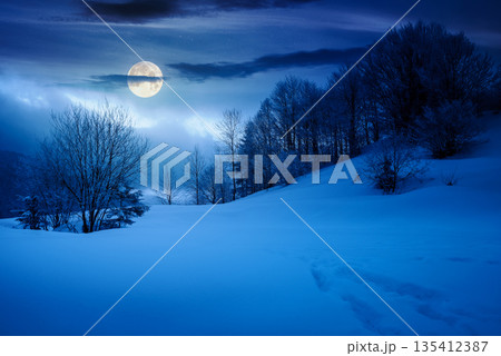 gorgeous winter landscape in mountains at night. beautiful trees in hoarfrost on snow covered hill in full moon light. glowing overcast sky. inner strength to overcome fear, loneliness in darkness gorgeous winter landscape in mountains at night. beautiful trees in hoarfrost on snow covered hill in full moon light. glowing overcast sky. inner strength to overcome fear, loneliness in darkness 135412387