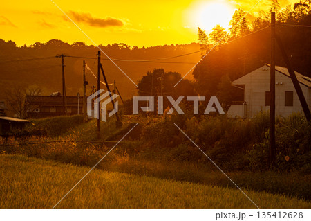 静岡県袋井市川会　天竜浜名湖鉄道と沿線の風景 135412628