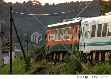 静岡県袋井市川会　天竜浜名湖鉄道と沿線の風景 135412652