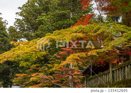 栃木県日光市山内　日光東照宮周辺の風景 135412695