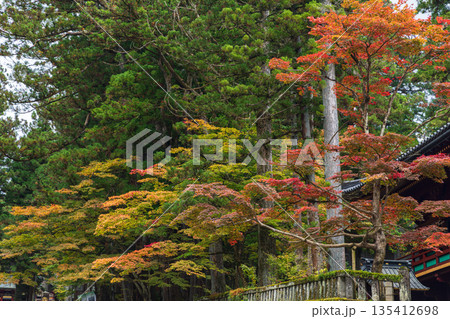 栃木県日光市山内　日光東照宮周辺の風景 135412698
