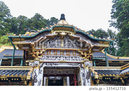 栃木県日光市山内 日光東照宮周辺の風景 栃木県日光市山内 日光東照宮周辺の風景 135412710