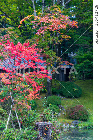 栃木県日光市山内　日光東照宮周辺の風景 135412726