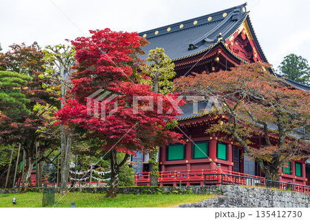 栃木県日光市山内　日光東照宮周辺の風景 135412730