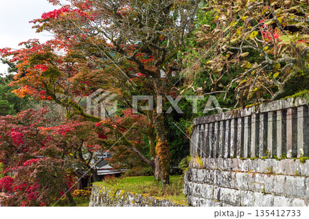 栃木県日光市山内 日光東照宮周辺の風景 栃木県日光市山内 日光東照宮周辺の風景 135412733