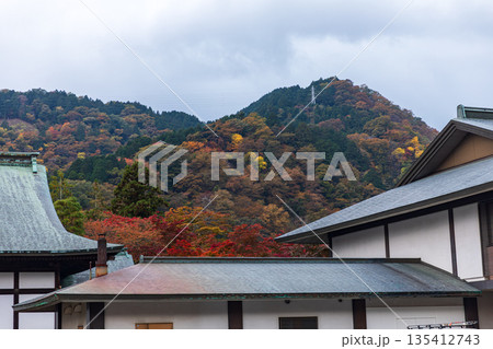 栃木県日光市山内　日光東照宮周辺の風景 135412743