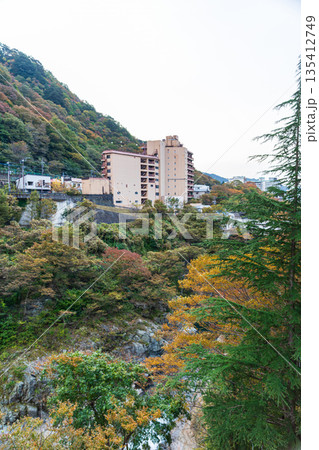 栃木県日光市鬼怒川温泉 鬼怒川温泉周辺の風景 栃木県日光市鬼怒川温泉 鬼怒川温泉周辺の風景 135412749