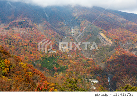 栃木県日光市細尾町 明智平周辺の風景 栃木県日光市細尾町 明智平周辺の風景 135412753