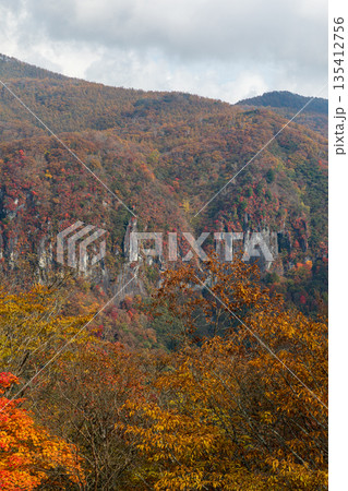 栃木県日光市細尾町 明智平周辺の風景 栃木県日光市細尾町 明智平周辺の風景 135412756