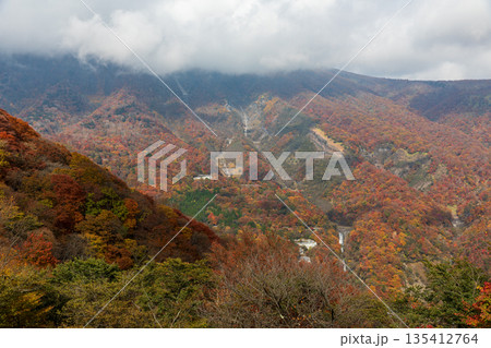 栃木県日光市細尾町 明智平周辺の風景 栃木県日光市細尾町 明智平周辺の風景 135412764