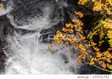 栃木県日光市中宮祠　竜頭の滝周辺の風景 135412781