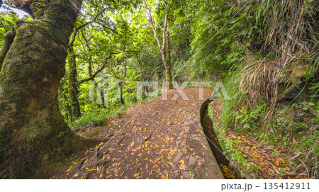 Vereda dos Balcoes PR11 Mountain Footpath, Madeira, Portugal 135412911
