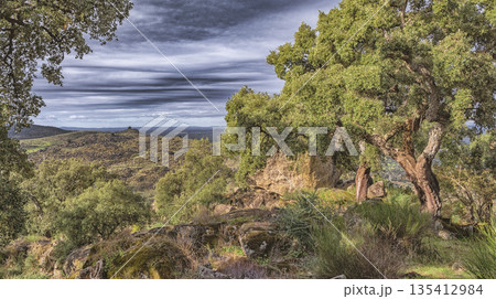 Protected Landscape Monte Valcorchero y Sierra del Gordo, Caceres, Spain 135412984