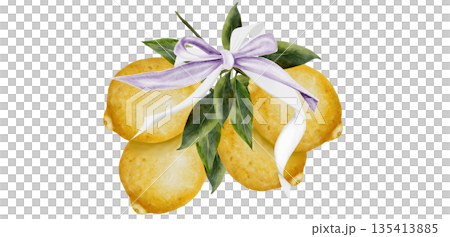 Lemons watercolor. Hand drawn tropical sour fruit with an elegant ribbon bow. Clip art of juicy yellow lime. Citrus on isolated white background. Ideal for logo and packaging of natural cosmetics Lemons watercolor. Hand drawn tropical sour fruit with an elegant ribbon bow. Clip art of juicy yellow lime. Citrus on isolated white background. Ideal for logo and packaging of natural cosmetics 135413885