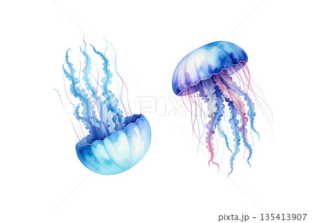 ブルーのクラゲの水彩イラスト 135413907