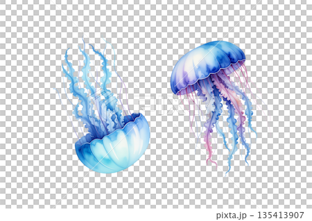ブルーのクラゲの水彩イラスト 135413907