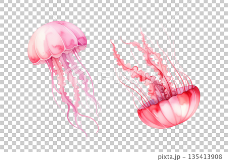 ピンクのクラゲの水彩イラスト 135413908