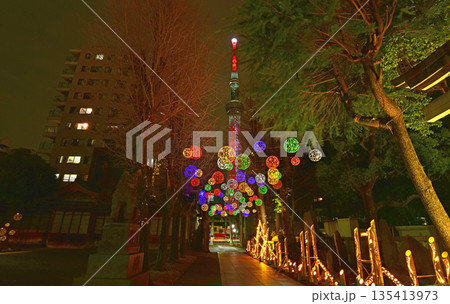 光る竹細工とスカイツリーのコラボ 光る竹細工とスカイツリーのコラボ 135413973