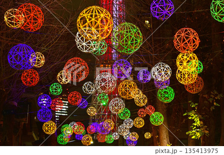 光る竹細工とスカイツリーのコラボ 光る竹細工とスカイツリーのコラボ 135413975