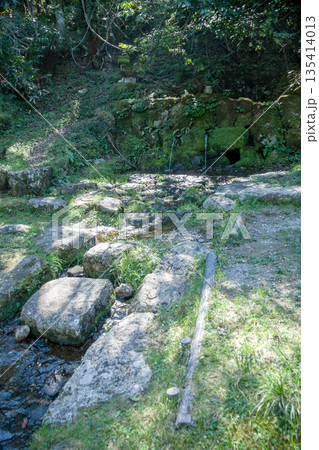 矢作川源流（長野県　根羽村） 135414013