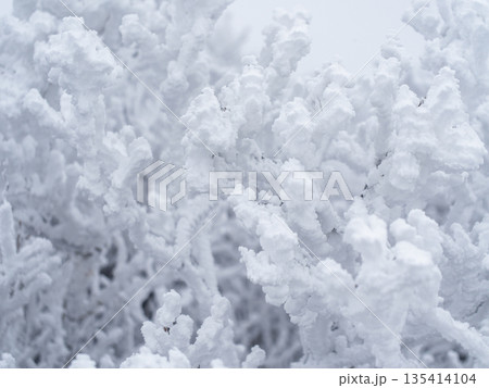 氷の粒が見える霧氷の結晶 135414104