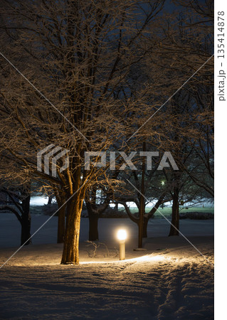 雪道に落ちる光と影のテクスチャ 135414878