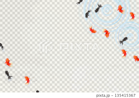 上から見た金魚と葉と水面の波紋　ミニマルな和風イラスト(和紙テクスチャ) 135415367