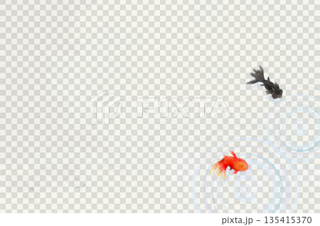 Top view of goldfish, leaves, and ripples on the water surface - Minimalist Japanese-style illustration (washi paper texture) Top view of goldfish, leaves, and ripples on the water surface - Minimalist Japanese-style illustration (washi paper texture) 135415370