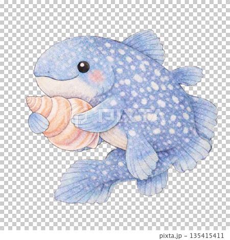 【夏】色鉛筆風の貝殻を抱くシーラカンスのイラスト 135415411